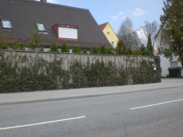 Spektrum Lärmschutz – Verkehrslärm